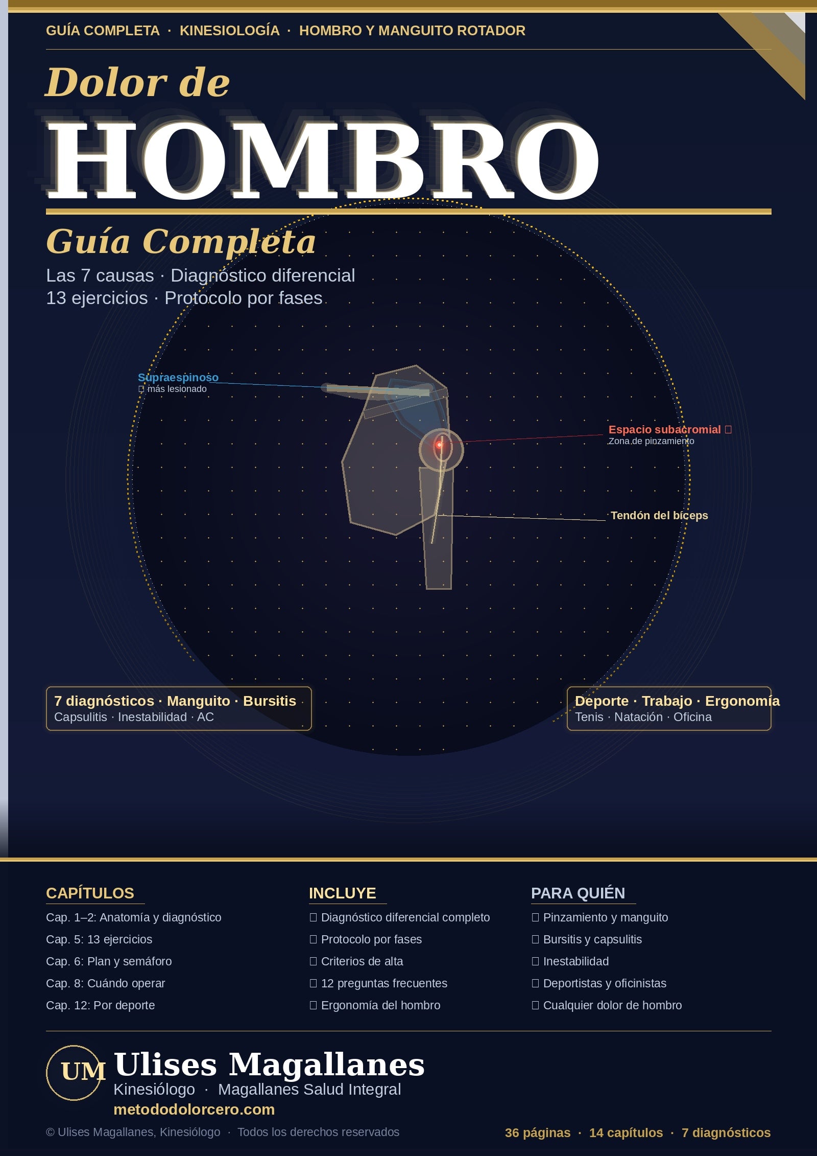 Guía dolor de hombro